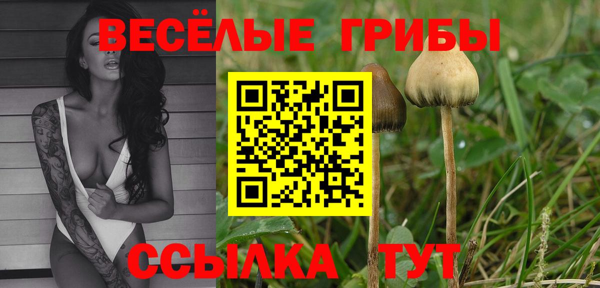 Галлюциногенные грибы MAGIC MUSHROOMS  Псилоцибиновые грибы мухоморы  Вход с VPN  Фурманов 