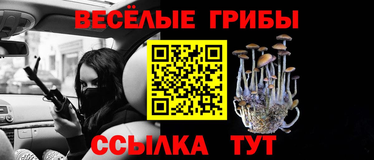 Псилоцибиновые грибы мицелий Фурманов
